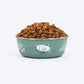 HUFT Ferns & Fur Printed Steel Bowl For Dog - Sage Green