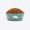 HUFT Ferns & Fur Printed Steel Bowl For Dog - Sage Green - Heads Up For Tails