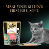 Sheba Chicken Premium Loaf Wet Kitten Food - 70 gm Packs