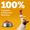 Pedigree Roasted Lamb Chunks In Gravy Adult Dog Wet Food - 130 g - Heads Up For Tails