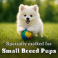 Pedigree PRO Expert Nutrition Small Breed (2-9 Months) Dry Puppy Food