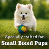 Pedigree PRO Expert Nutrition Small Breed (2-9 Months) Dry Puppy Food - Heads Up For Tails