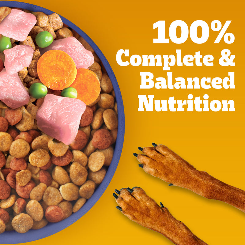 Pedigree Chicken & Milk Puppy Dry Dog Food (Contains 37 Essential Nutrients)