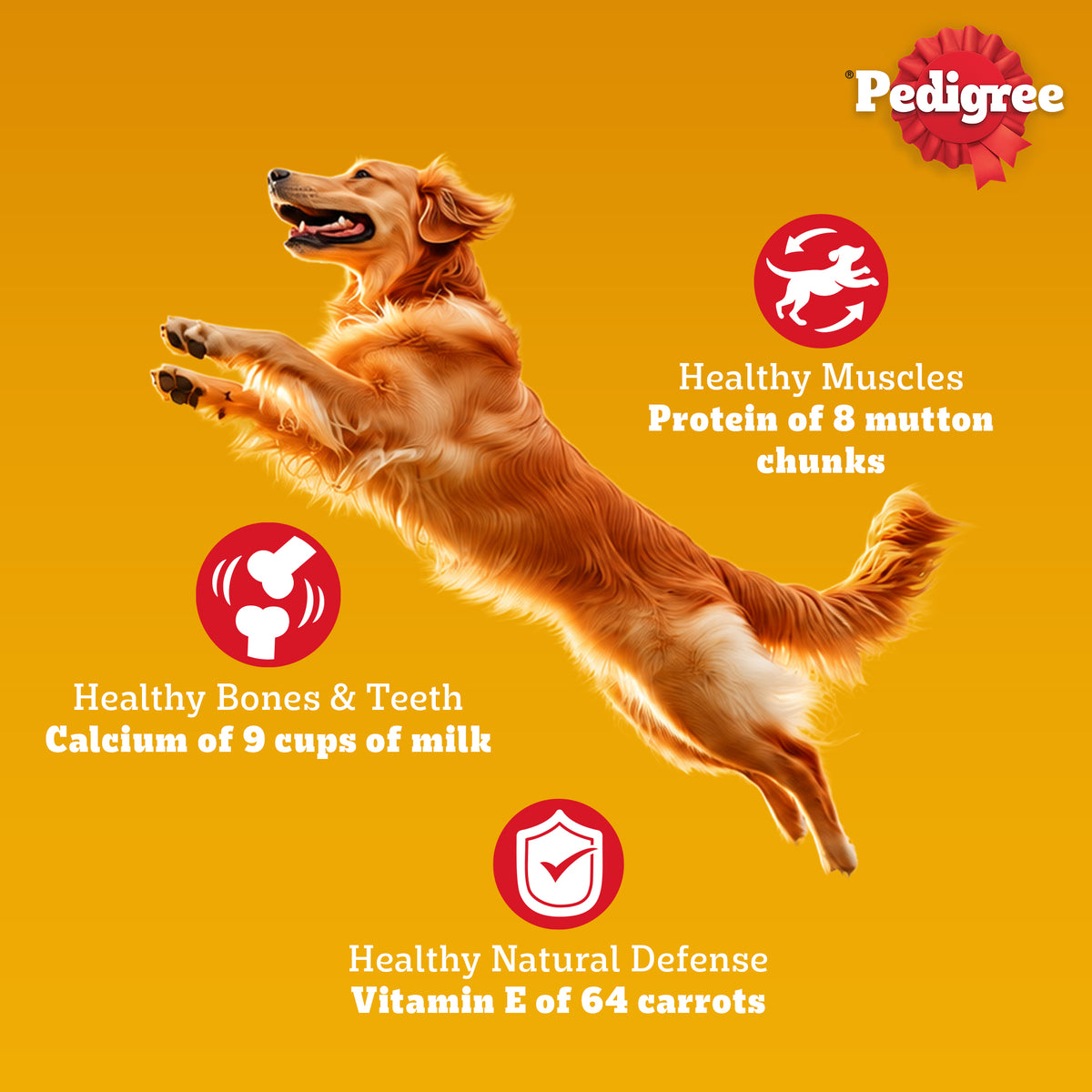 Pedigree Meat & Rice Dry Food For Adult Dog (100% Complete & Balanced Nutrition)