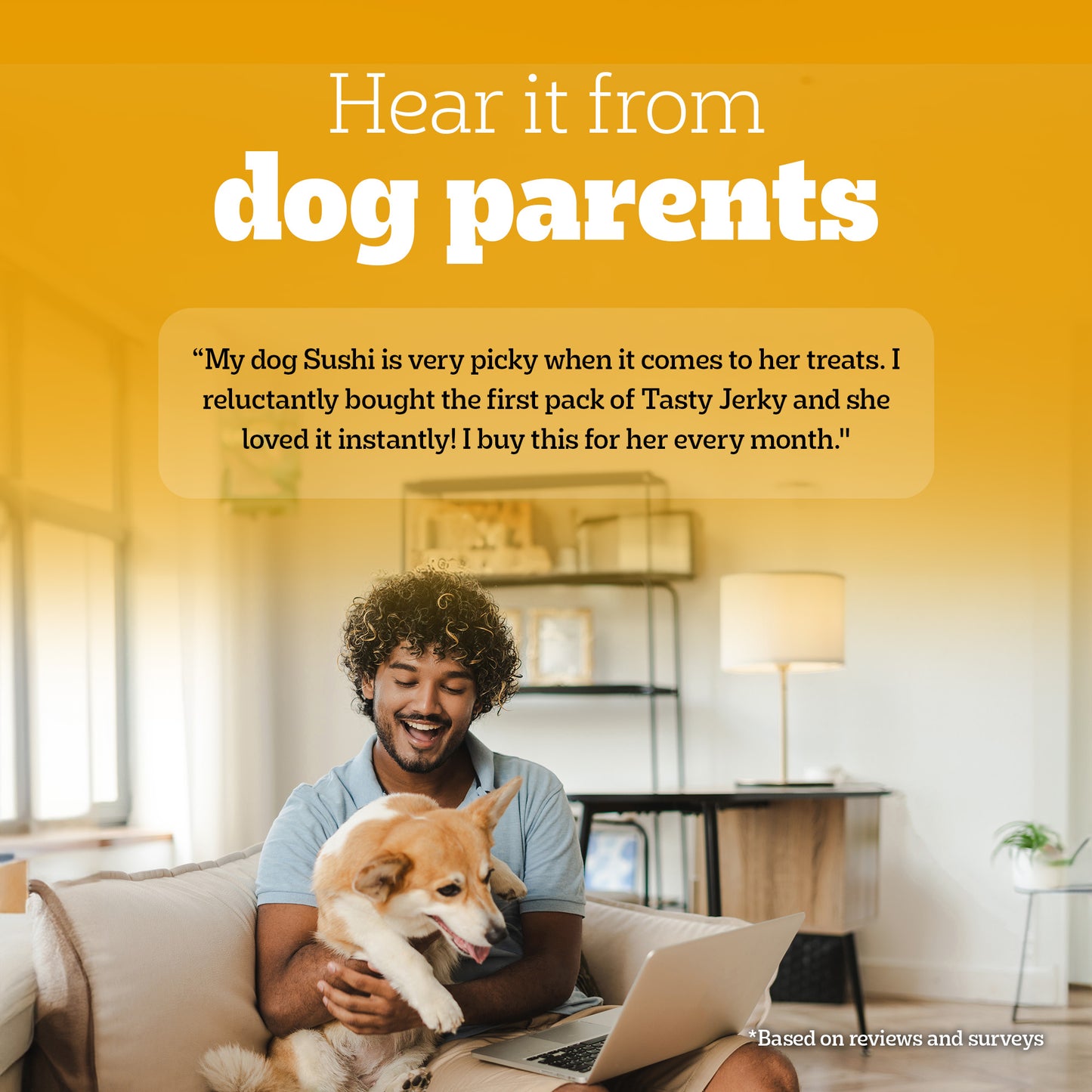 Pedigree Tasty Jerky Roasted Lamb Flavour Treat For Adult Dog - 70 g