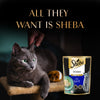 Sheba Rich Chicken Premium Loaf Adult Wet Cat Food - 70 gm Packs