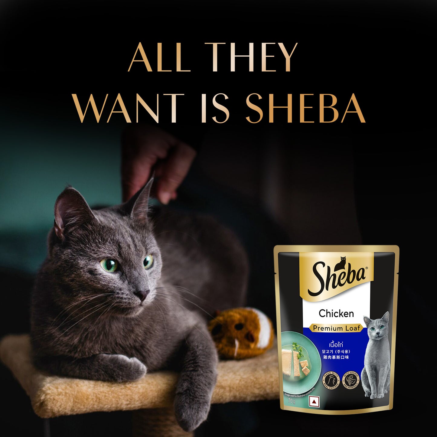 Sheba Rich Chicken Premium Loaf Adult Wet Cat Food - 70 gm Packs