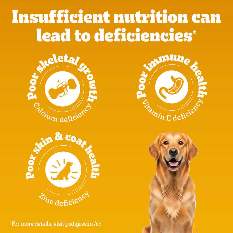 Pedigree 100% Vegetarian Dry Food For Adult Dog