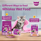 Whiskas Mackerel In Jelly Wet Food For Junior (2-12 Months) Kitten - 80 gm Pack