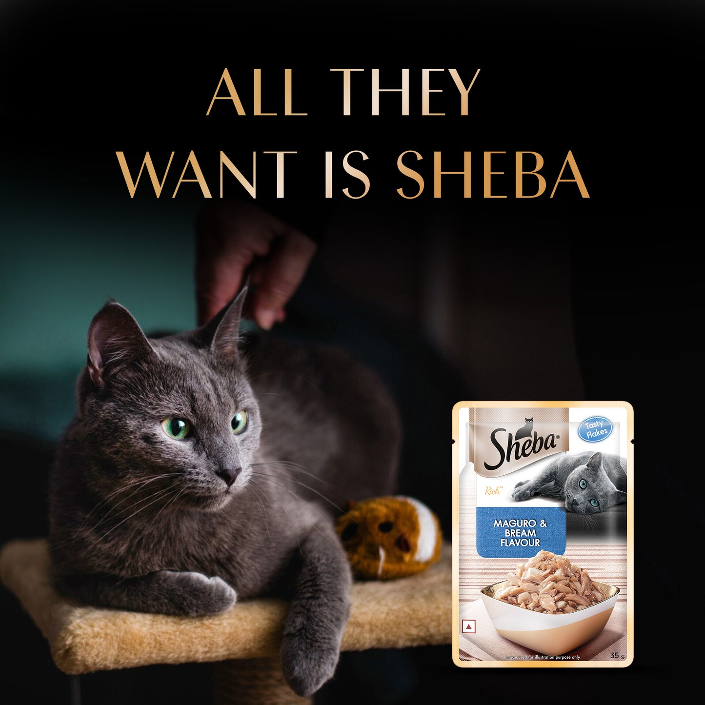 Sheba Rich Premium Adult (1+ Years) Maguro & Bream Flavour Wet Cat Food - 35 g - Packs
