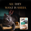 Sheba Rich Premium (1+ Years) Fish with Dry Bonito Flavour Adult Wet Cat Food - 35 g - Packs