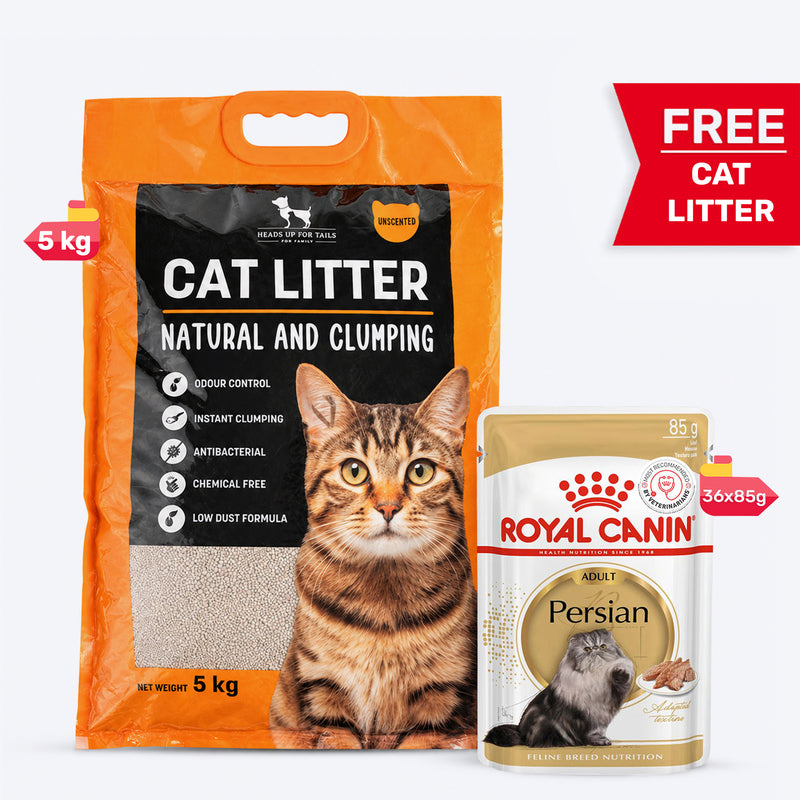 Royal Canin Loaf-Mousse Persian Wet Cat Food - 85 g packs