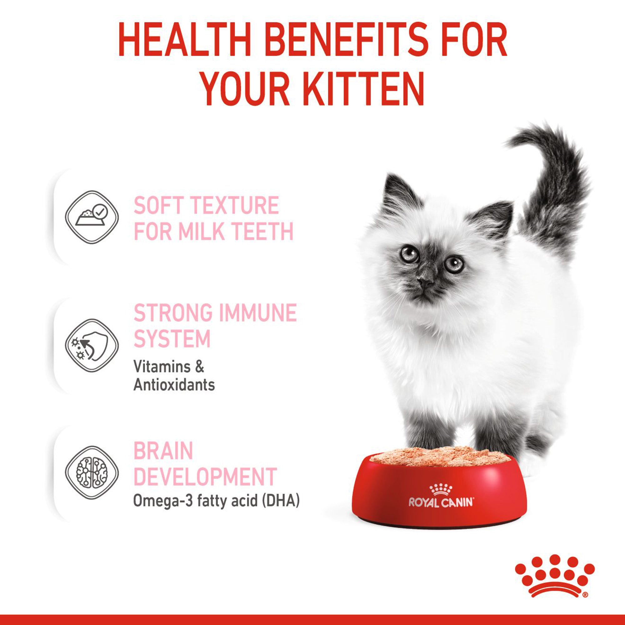 Royal Canin Loaf Wet Kitten Food 85 g packs Heads Up For Tails