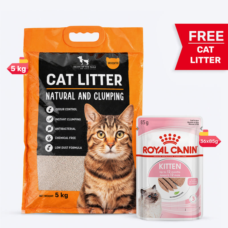 Royal Canin Loaf Wet Kitten Food - 85 g packs