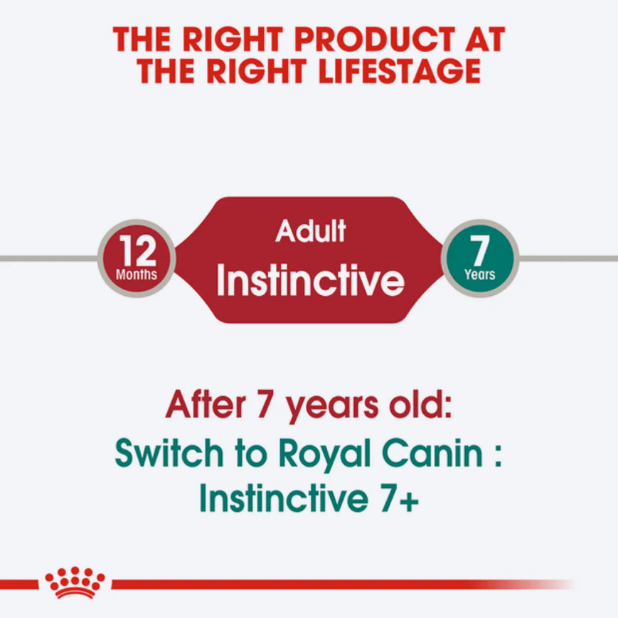 Royal Canin Instinctive Loaf Mousse Pate Wet Food For Adult Cat - 85 gm - Heads Up For Tails