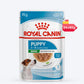 Royal Canin Puppy Mini Wet Puppy Food (1-10kg) - 85 g packs - Heads Up For Tails