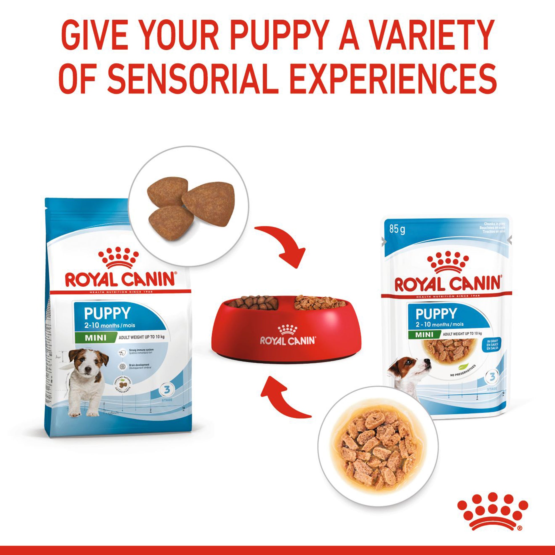 Royal Canin Puppy Mini Wet Puppy Food (1-10kg) - 85 g packs - Heads Up For Tails