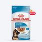 Royal Canin Maxi Breed Wet Puppy Food - 140 g - Heads Up For Tails