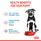 Royal Canin Maxi Dry & Wet Food Combo For Puppy - 10 kg