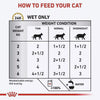 Royal Canin Urinary S/O Wet Food Pouch For Cat - 12 x 85 g - Heads Up For Tails