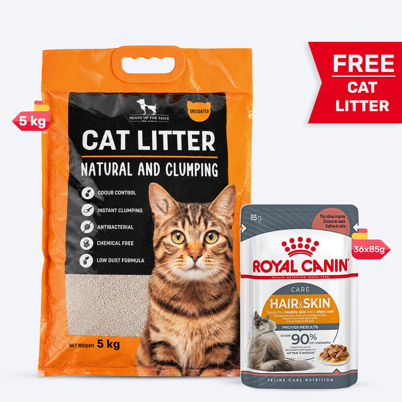 Royal Canin Hair & Skin Care In Gravy Adult Cat Wet Food - 85 g