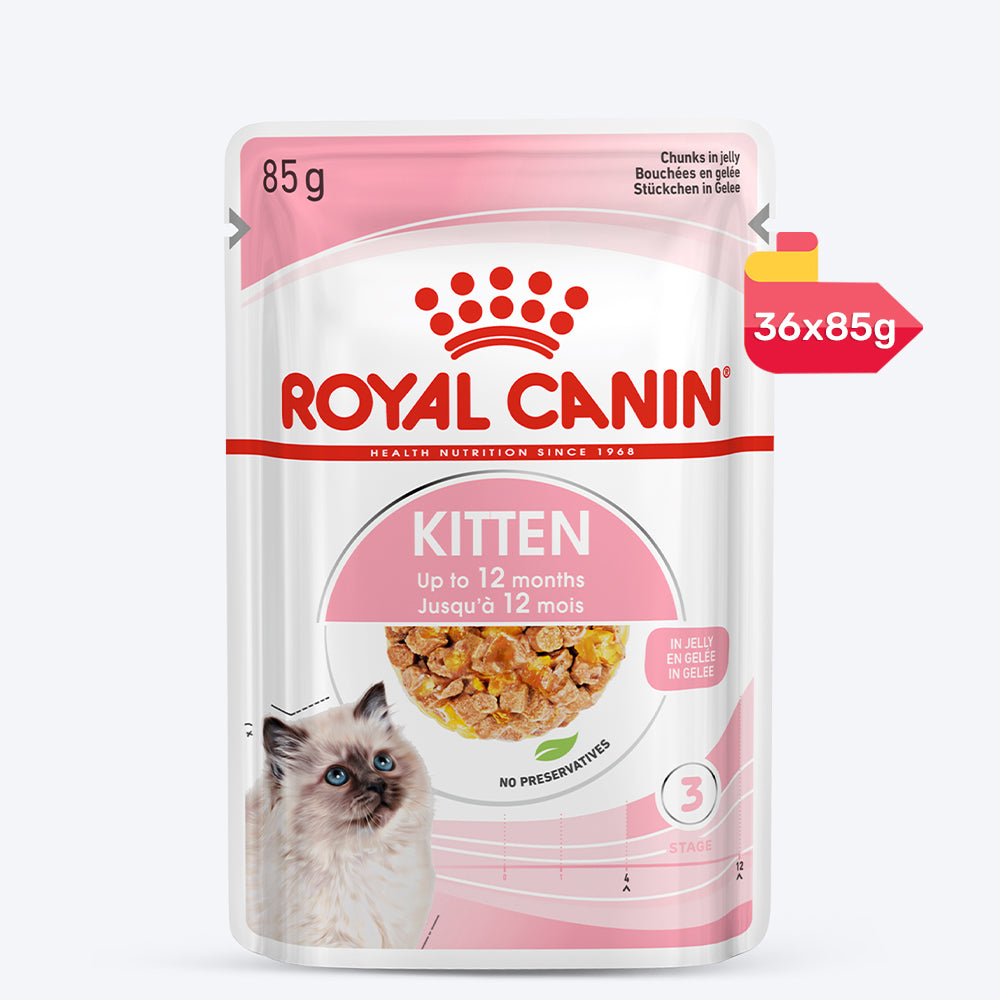 Royal Canin Kitten Jelly Wet Cat Food - 85 g packs