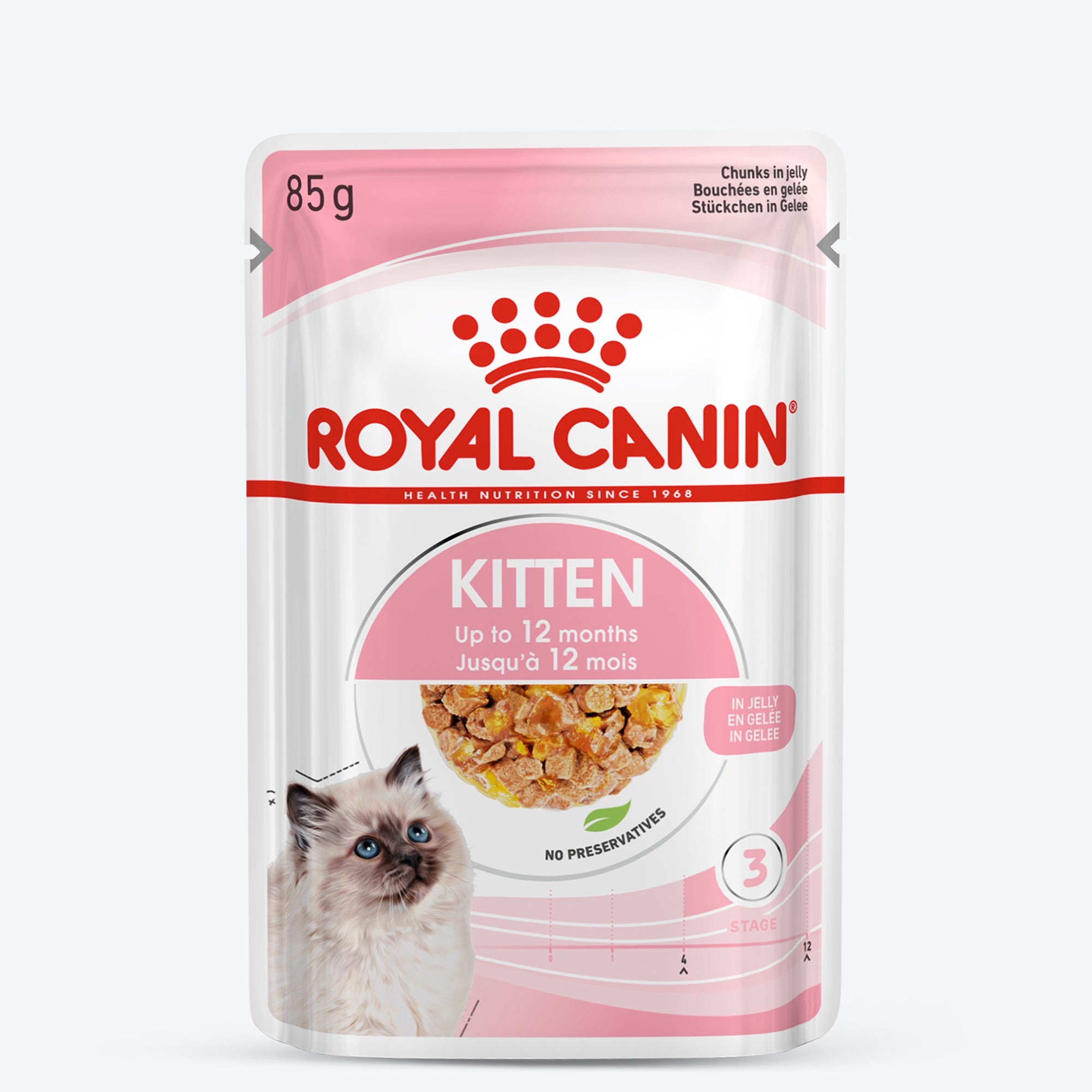 Kitten food hot sale in jelly