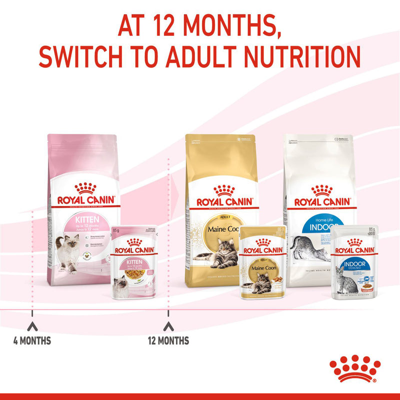 Royal Canin Kitten Jelly Wet Cat Food - 85 g packs - Heads Up For Tails