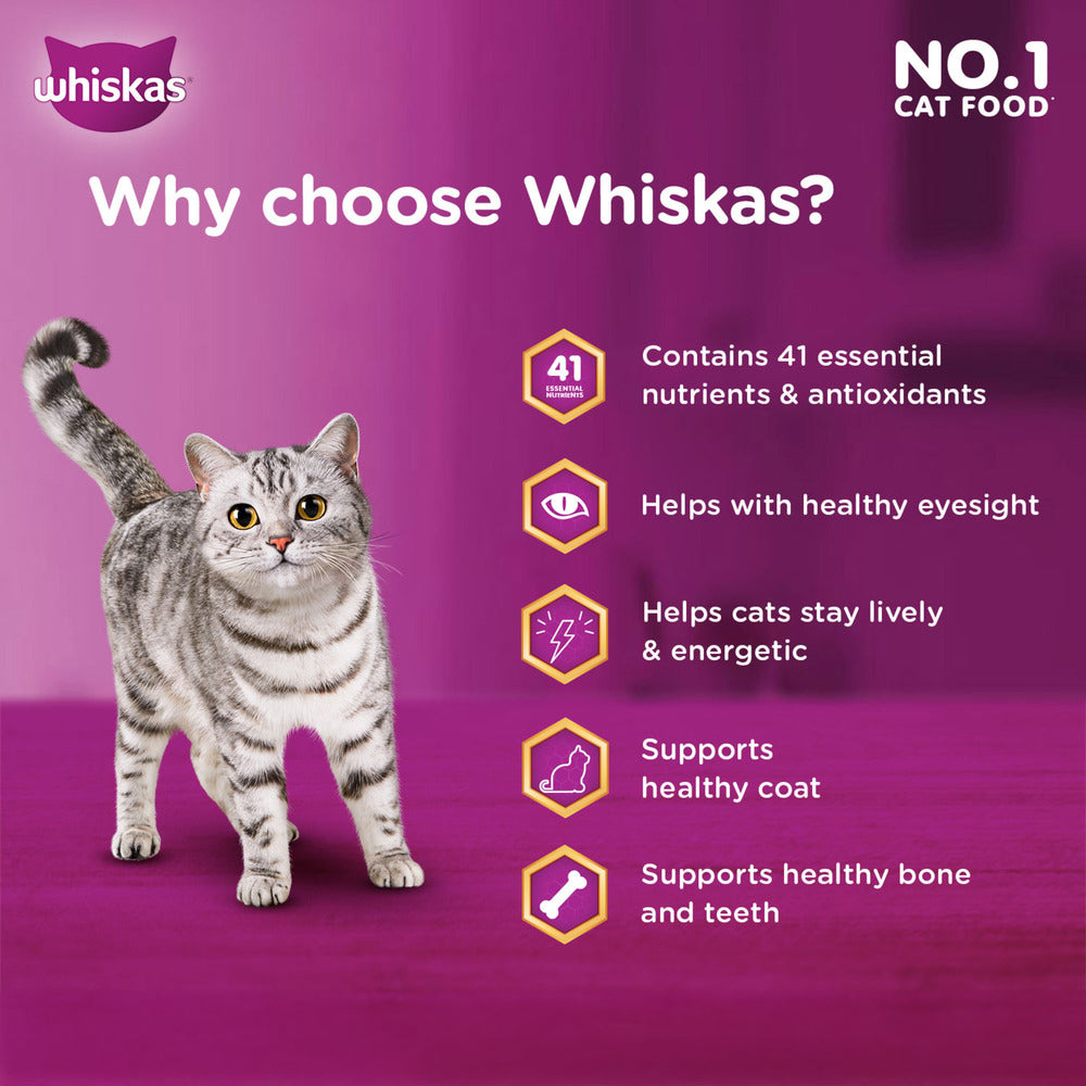 Whiskas Ocean Fish Dry Food For Adult Cat