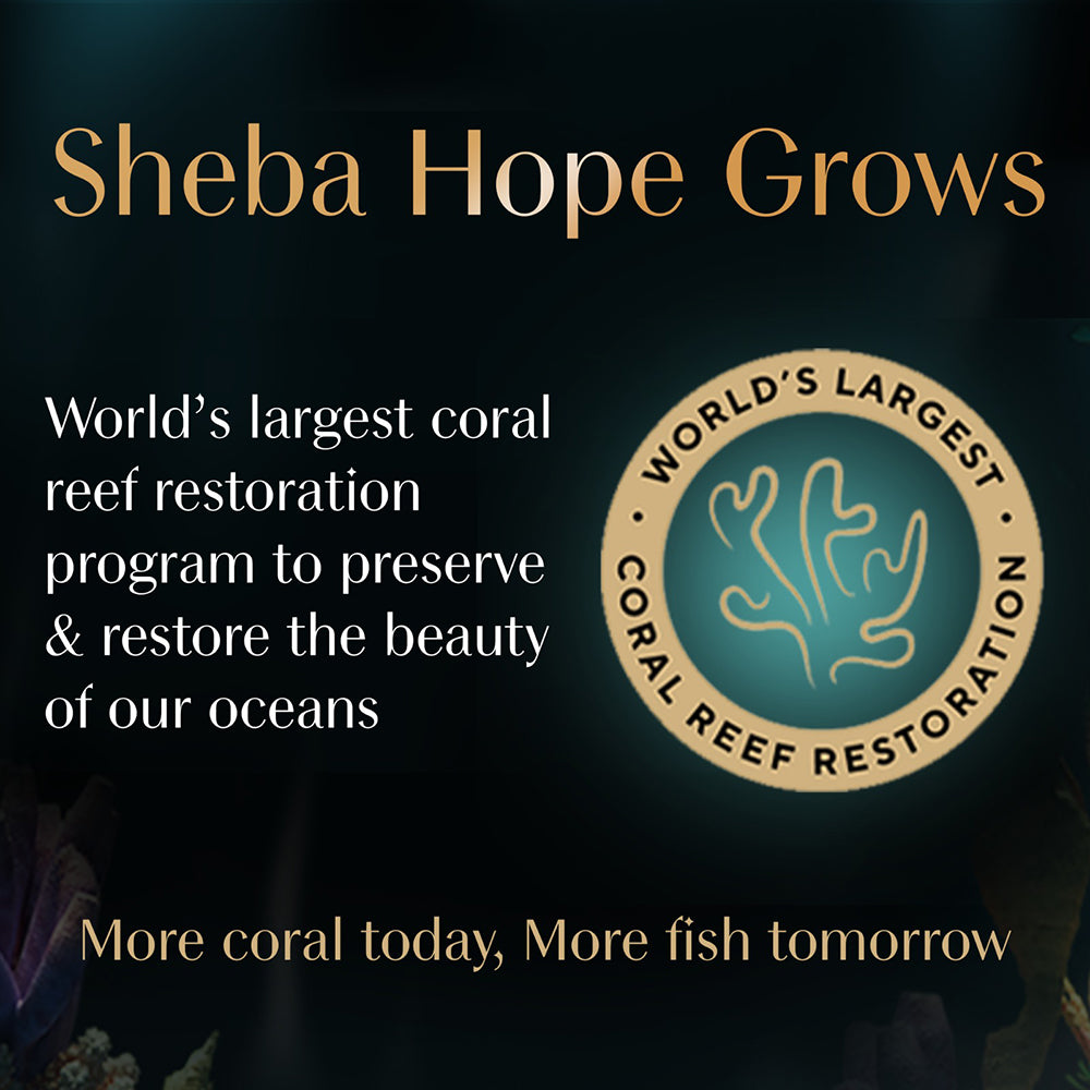 Sheba Tuna White Meat in Jelly Adult Wet Cat Food - 85 gm Packs