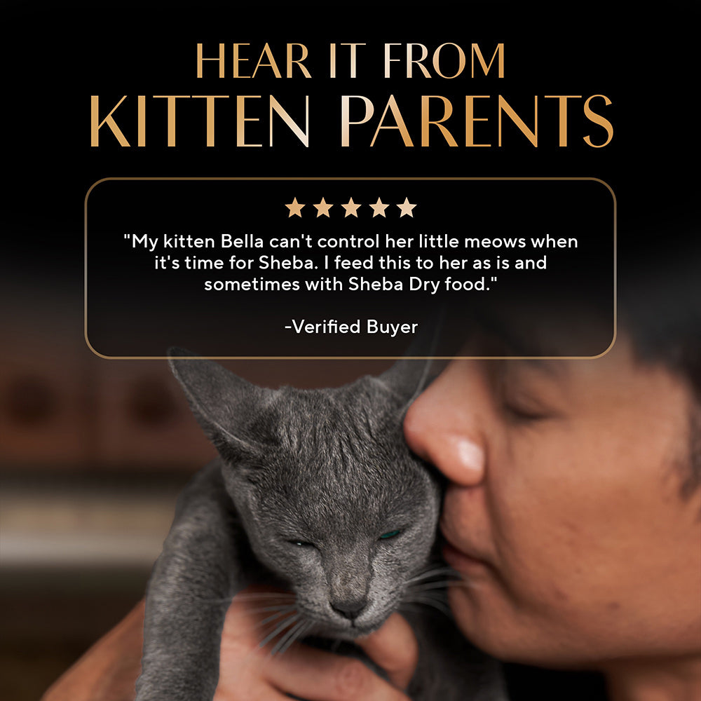 Sheba Chicken Premium Loaf Wet Kitten Food - 70 gm Packs