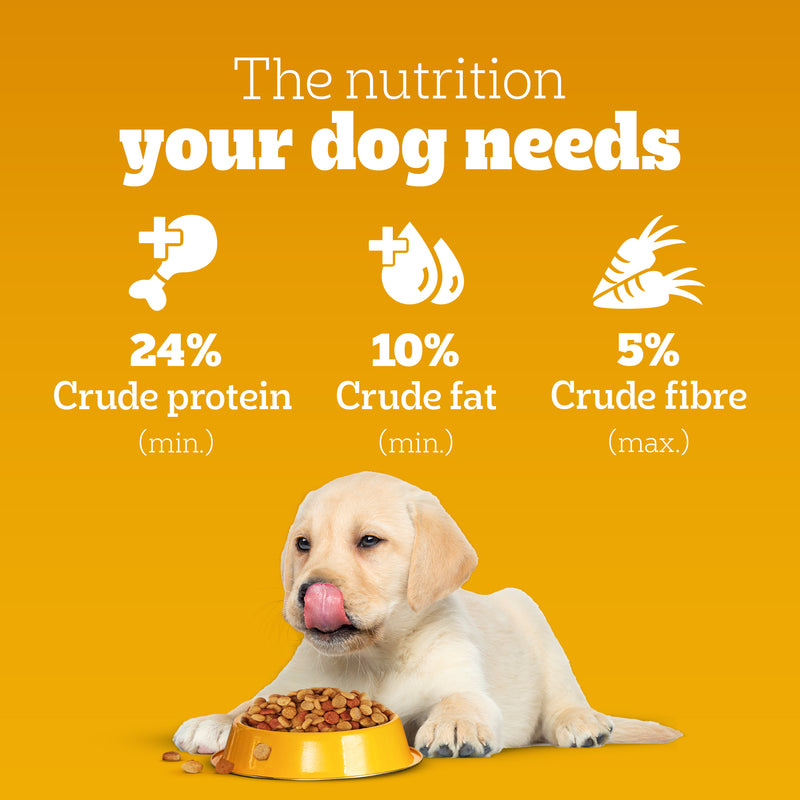 Pedigree Chicken & Milk Puppy Dry Dog Food (Contains 37 Essential Nutrients)