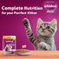 Whiskas Chicken in Gravy (2-12 Months) Wet Food For Junior Kitten - 80 gm Pack - Heads Up For Tails