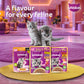 Whiskas Tasty Mix Chicken Tuna With Sweet Potato In Gravy Wet Food For Junior (2-12 Months) Kitten - 70 gm Pack