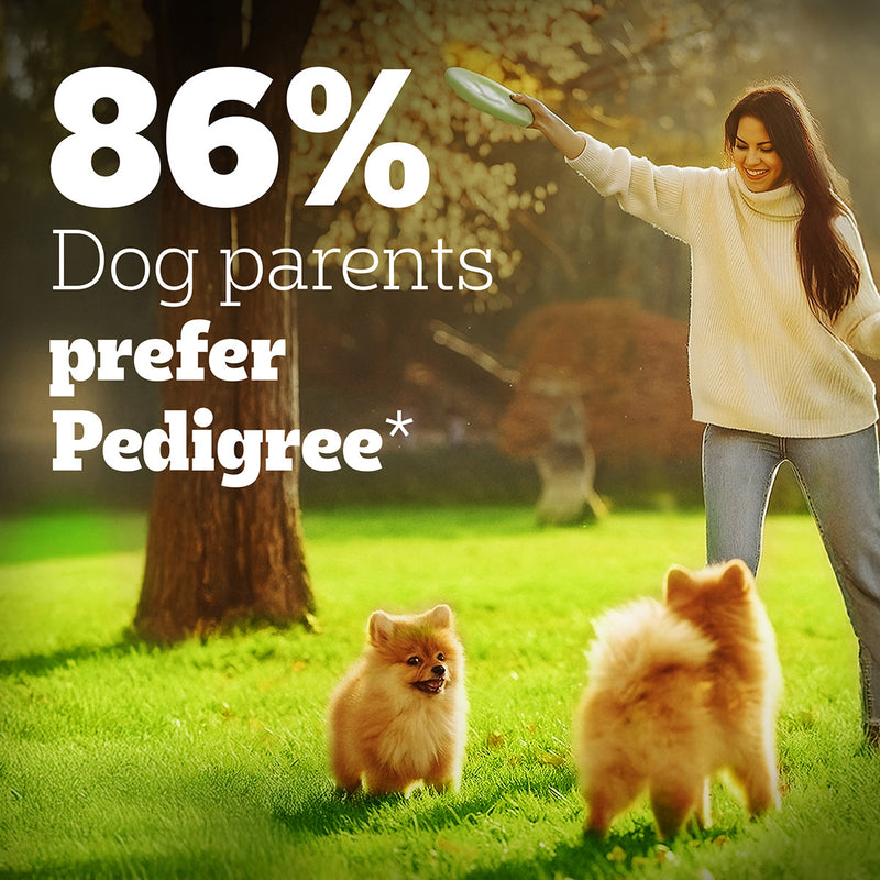 Pedigree PRO Expert Nutrition Dry Dog Food For Large Breed Puppy (3-18 Months) - Heads Up For Tails