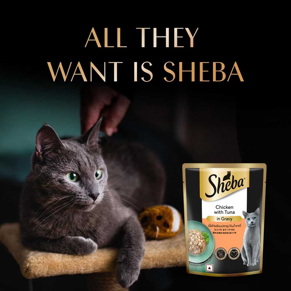 Sheba Rich Premium Chicken With Tuna In Gravy Adult Wet Cat Food - 70 gm Packs - Heads Up For Tails