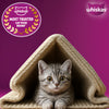 Whiskas Ocean Fish Dry Food For Kitten (2-12 Months) - Heads Up For Tails