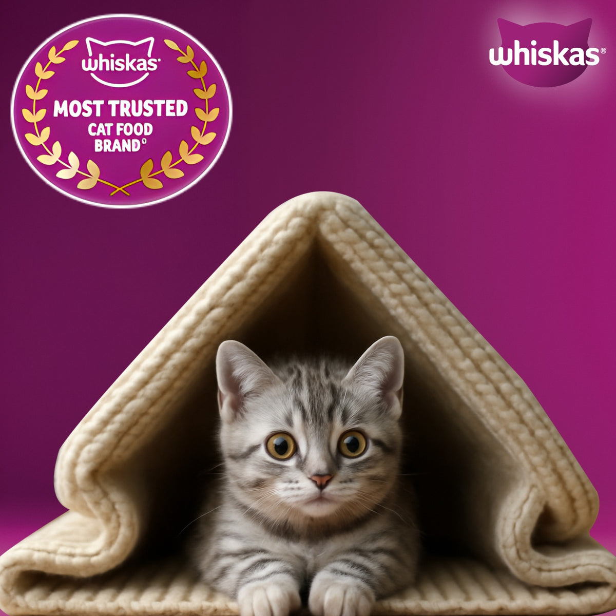 Whiskas Ocean Fish Dry Food For Kitten (2-12 Months) - Heads Up For Tails