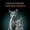 Sheba Deluxe Premium (1+ Years) Tuna Flakes & Salmon In Gravy Adult Cat Wet Food - 85 gm - Pack