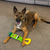 Outward Hound Mallard Fire Biterz Chew Toy For Dog - Green - Heads Up For Tails