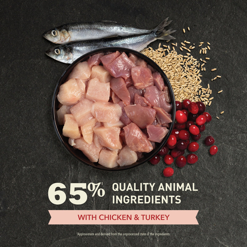 Acana Indoor Entree Chicken With Herring Adult Cat Dry Food