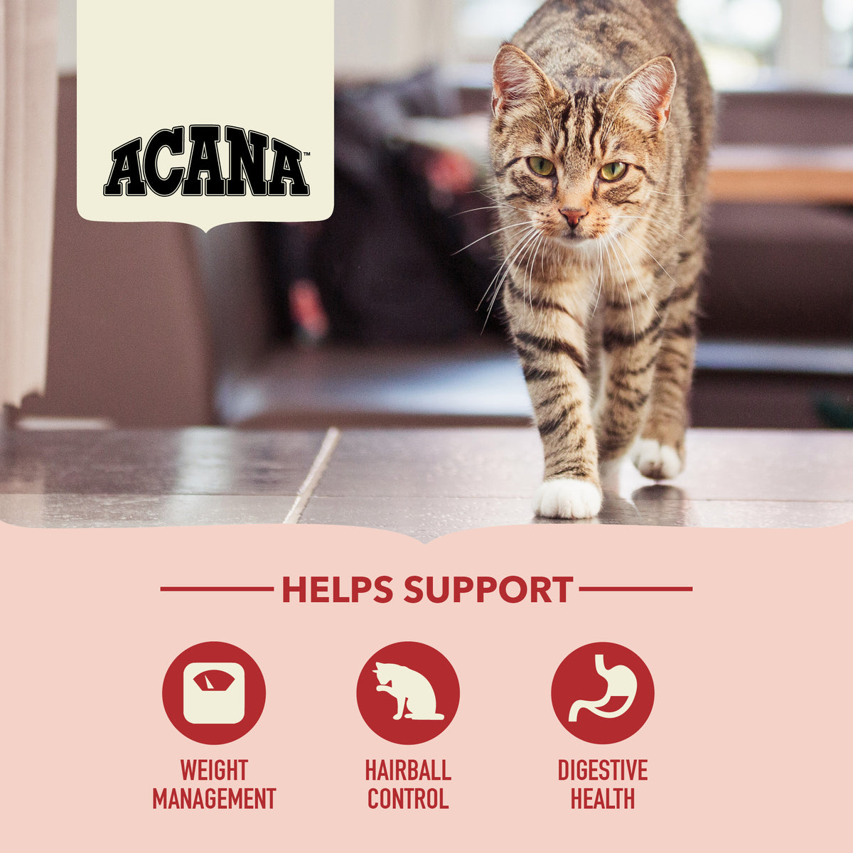 Acana Indoor Entree Chicken With Herring Adult Cat Dry Food