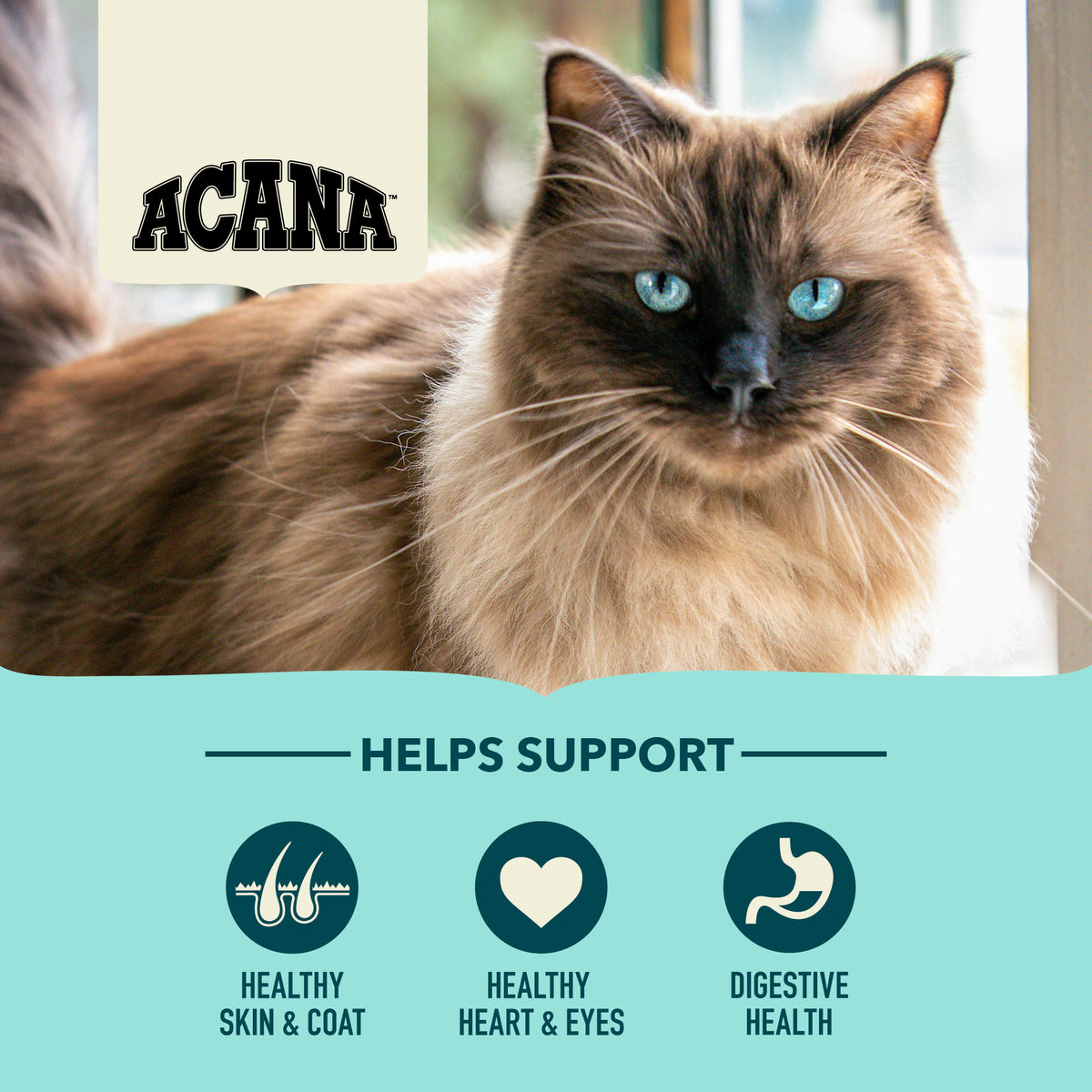 Acana Bountiful Catch Salmon With Herring Adult Cat Dry Food