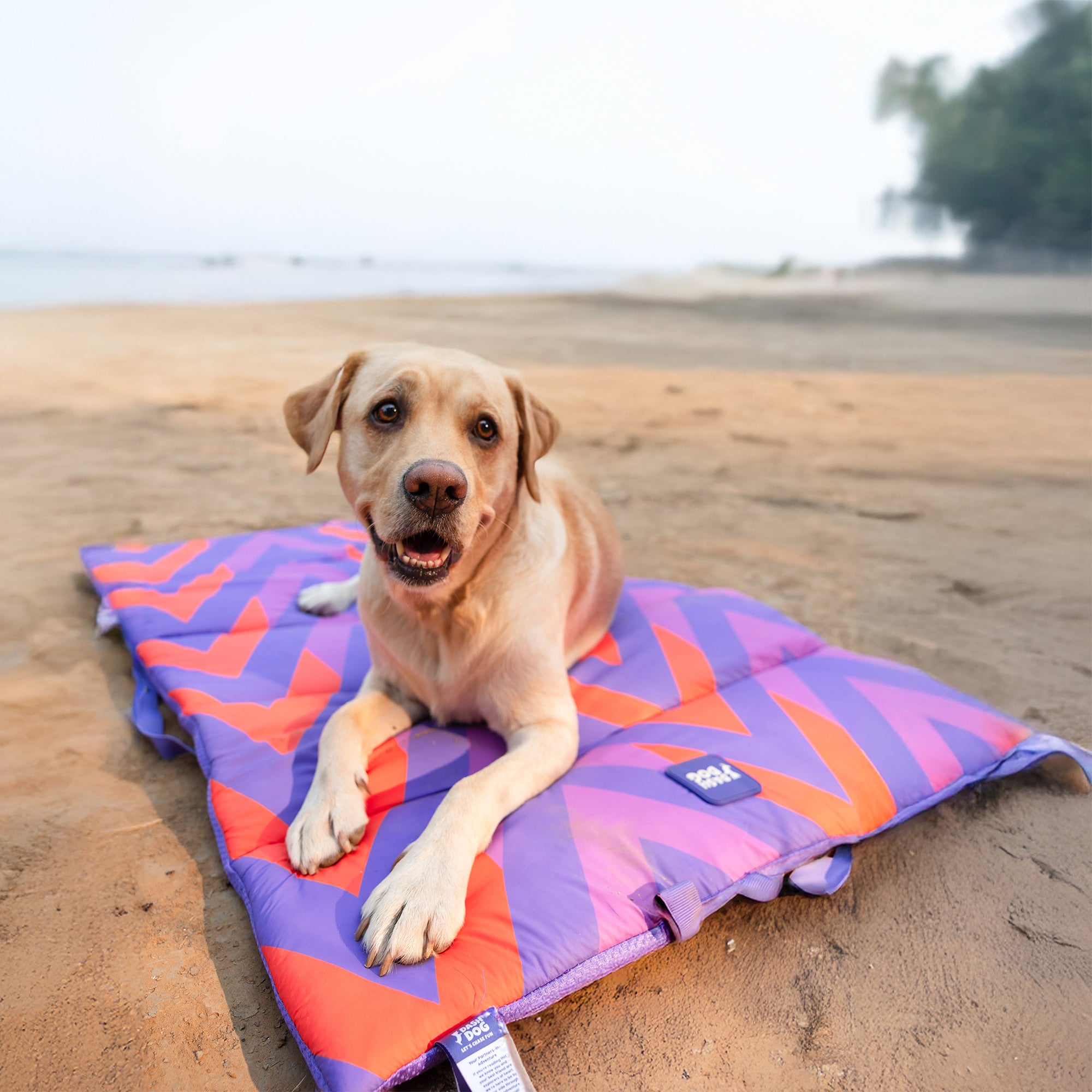 Beach buddy mat discount