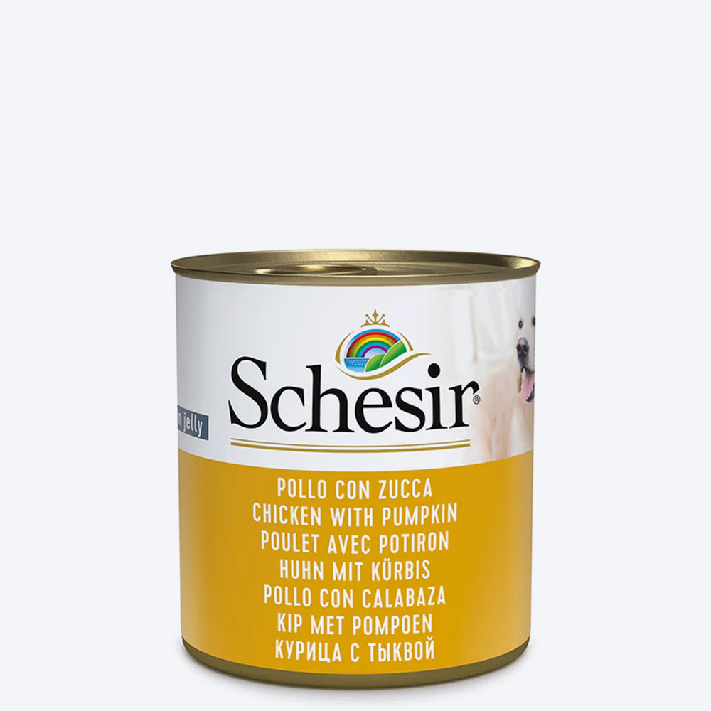 Schesir 46% Chicken with Pumpkin Gravy Wet Dog Food - 285 g, For Dog, Wet Food