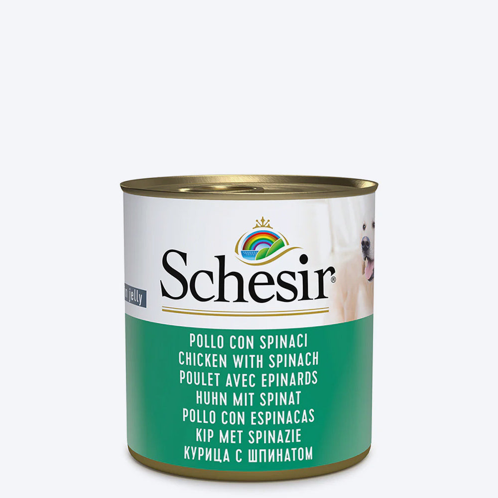 Schesir Chicken with Spinach Canned Wet Dog Food - 285 g, For Dog, Wet Food