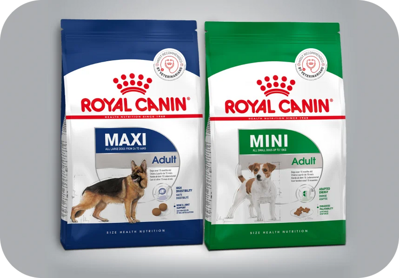 Adult Dog Food