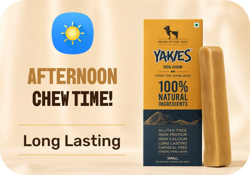 Starts at ₹129