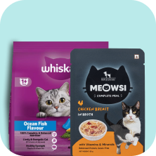 All Cat Food