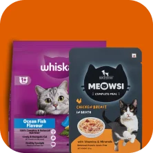 All Cat Food